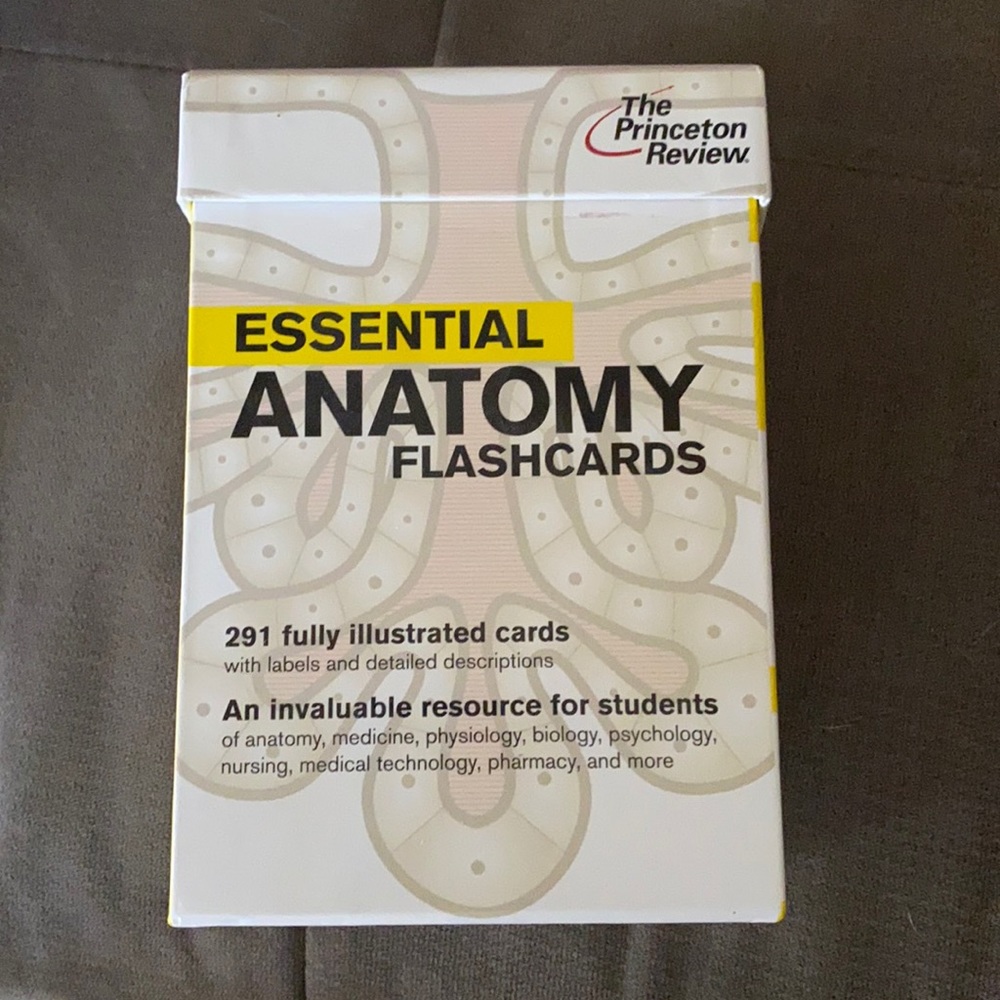 COPY - Anatomy flashcard set